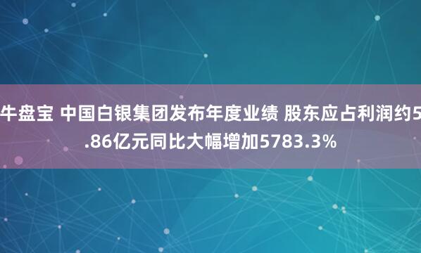 牛盘宝 中国白银集团发布年度业绩 股东应占利润约5.86亿元同比大幅增加5783.3%