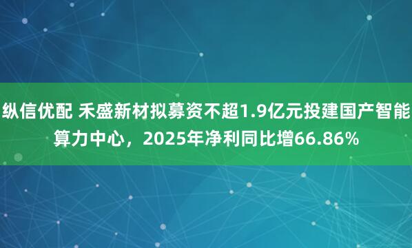 纵信优配 禾盛新材拟募资不超1.9亿元投建国产智能算力中心，2025年净利同比增66.86%